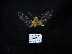  ( - MA04-10-12-39)  @12 [ ] Copyright (2010) Morton S. Adams Research Collection of Morton S. Adams