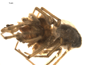  ( - CCDB-05144-A08)  @12 [ ] CreativeCommons - Attribution (2010) CBG Photography Group Centre for Biodiversity Genomics