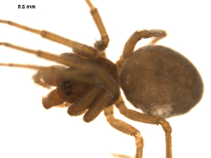  ( - CCDB-05260-D02)  @12 [ ] CreativeCommons - Attribution (2010) CBG Photography Group Centre for Biodiversity Genomics