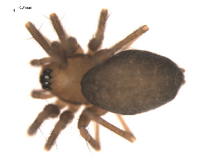  ( - 09PROBE-891)  @12 [ ] CreativeCommons - Attribution (2009) Gergin Blagoev Centre for Biodiversity Genomics