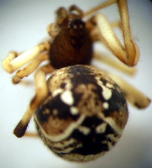  ( - CCDB-12174-G02)  @12 [ ] Copyright  E. Kuzmin 2011 Unspecified