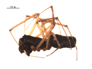  ( - BIOUG00199-D10)  @12 [ ] Copyright  G. Blagoev 2010 Unspecified