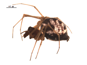  ( - BIOUG00199-E02)  @12 [ ] Copyright  G. Blagoev 2010 Unspecified