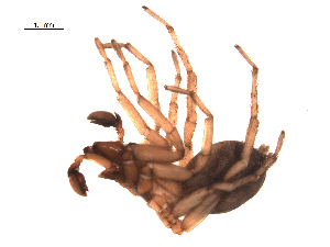  ( - BIOUG00200-A02)  @12 [ ] Copyright  G. Blagoev 2010 Unspecified