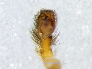  ( - Haal_NMBA_19829_M)  @11 [ ] Creative Commons  Attribution Share-Alike (by-sa) (2025) Charles Haddad University of the Free State