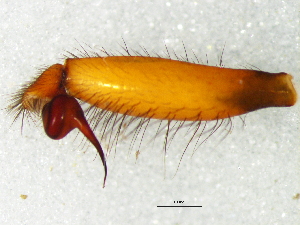  ( - Stoc_NCA_2025_19_M)  @11 [ ] Creative Commons  Attribution Share-Alike (by-sa) (2025) Charles Haddad University of the Free State