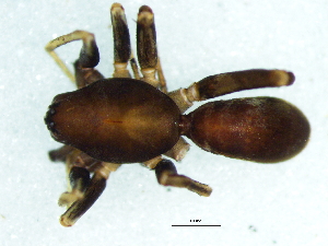  ( - Cose_NMBA_20132_M1)  @11 [ ] Creative Commons  Attribution Share-Alike (by-sa) (2025) Charles Haddad University of the Free State