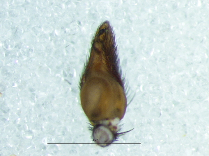  ( - Cose_NMBA_20132_M1)  @11 [ ] Creative Commons  Attribution Share-Alike (by-sa) (2025) Charles Haddad University of the Free State