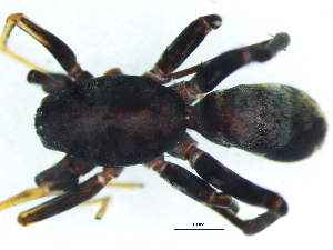  ( - Cose_NMBA_20132_M2)  @11 [ ] Creative Commons  Attribution Share-Alike (by-sa) (2025) Charles Haddad University of the Free State