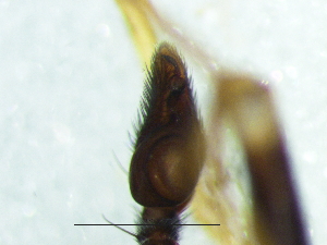  ( - Cose_NMBA_20132_M2)  @11 [ ] Creative Commons  Attribution Share-Alike (by-sa) (2025) Charles Haddad University of the Free State