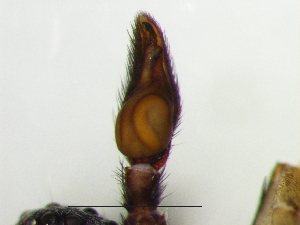  ( - Cose_NMBA_20200_M)  @11 [ ] Creative Commons  Attribution Share-Alike (by-sa) (2025) Charles Haddad University of the Free State