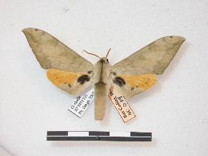  ( - PD-BC 019)  @14 [ ] Copyright (2010) Philippe Darge Research Collection of Philippe Darge