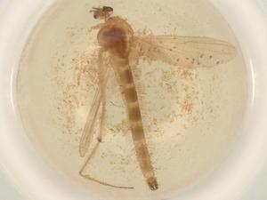  ( - BIOUG50536-E04)  @11 [ ] CreativeCommons - Attribution (2022) Centre for Biodiversity Genomics Centre for Biodiversity Genomics