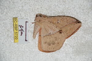  ( - BC-RBP 5720)  @12 [ ] Copyright (2010) Ron Brechlin Research Collection of Ron Brechlin