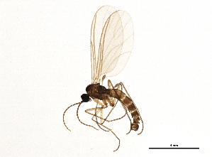  ( - BIOUG03497-B06)  @14 [ ] CreativeCommons - Attribution (2013) CBG Photography Group Centre for Biodiversity Genomics