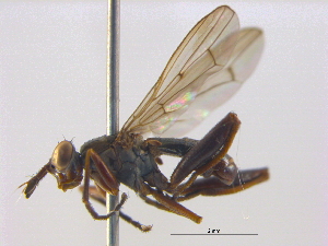  ( - BIOUG04173-C07)  @14 [ ] CreativeCommons - Attribution (2012) CBG Photography Group Centre for Biodiversity Genomics