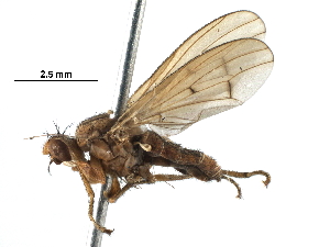  ( - BIOUG24328-H09)  @11 [ ] CreativeCommons - Attribution (2016) CBG Photography Group Centre for Biodiversity Genomics