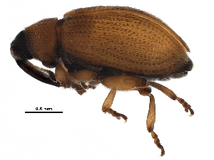  ( - BIOUG24554-H09)  @13 [ ] CreativeCommons - Attribution (2016) CBG Photography Group Centre for Biodiversity Genomics