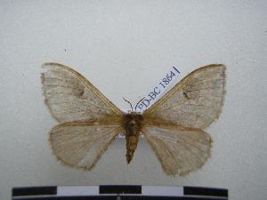  ( - PD-BC-1864)  @12 [ ] Copyright (2010) Philippe Darge Research Collection of Philippe Darge