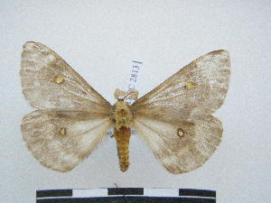  ( - PD-BC 2813)  @13 [ ] Copyright (2010) Philippe Darge Research Collection of Philippe Darge