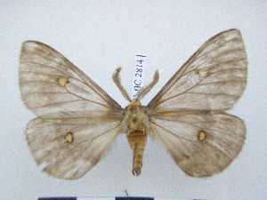  ( - PD-BC 2814)  @13 [ ] Copyright (2010) Philippe Darge Research Collection of Philippe Darge