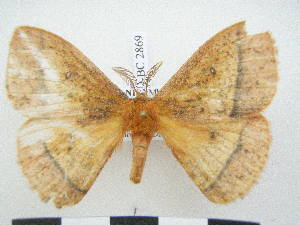  ( - PD-BC 2869)  @13 [ ] Copyright (2010) Philippe Darge Research Collection of Philippe Darge