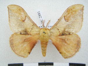  ( - PD-BC 2881)  @14 [ ] Copyright (2010) Philippe Darge Research Collection of Philippe Darge