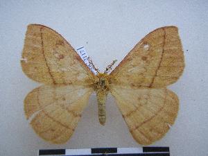  ( - PD-BC-2117)  @13 [ ] Copyright (2010) Philippe Darge Research Collection of Philippe Darge
