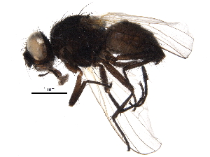  ( - BIOUG22117-B02)  @12 [ ] CreativeCommons - Attribution (2015) CBG Photography Group Centre for Biodiversity Genomics