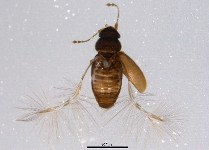  ( - BIOUG04644-D02)  @13 [ ] CreativeCommons - Attribution (2014) CBG Photography Group Centre for Biodiversity Genomics
