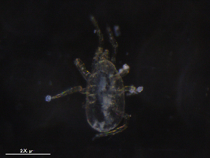  ( - BIOUG23922-H01)  @11 [ ] CreativeCommons - Attribution (2019) CBG Photography Group Centre for Biodiversity Genomics