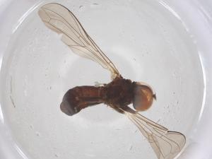  ( - BIOUG06227-B03)  @11 [ ] CreativeCommons - Attribution Share - Alike (2025) Centre for Biodiversity Genomics Centre for Biodiversity Genomics