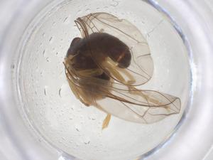  ( - BIOUG09212-F02)  @11 [ ] CreativeCommons - Attribution Share - Alike (2025) Centre for Biodiversity Genomics Centre for Biodiversity Genomics