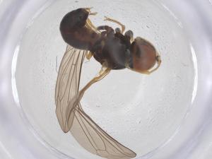  ( - BIOUG09683-E08)  @11 [ ] CreativeCommons - Attribution Share - Alike (2025) Centre for Biodiversity Genomics Centre for Biodiversity Genomics