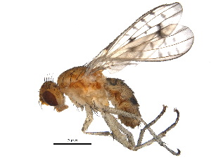  ( - BIOUG15689-F03)  @14 [ ] CreativeCommons - Attribution (2015) CBG Photography Group Centre for Biodiversity Genomics