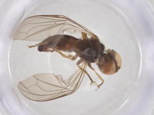  ( - BIOUG27360-D09)  @11 [ ] CreativeCommons - Attribution Share - Alike (2025) Centre for Biodiversity Genomics Centre for Biodiversity Genomics