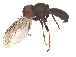  ( - BIOUG26781-A03)  @11 [ ] CreativeCommons - Attribution (2025) CBG Photography Group Centre for Biodiversity Genomics