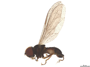  ( - BIOUG26190-E05)  @11 [ ] CreativeCommons - Attribution (2025) CBG Photography Group Centre for Biodiversity Genomics