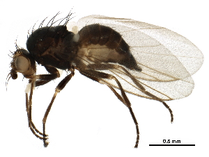  ( - BIOUG27172-E04)  @11 [ ] CreativeCommons - Attribution (2018) CBG Photography Group Centre for Biodiversity Genomics