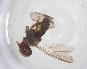  ( - BIOUG09087-A11)  @11 [ ] CreativeCommons - Attribution Share - Alike (2025) Centre for Biodiversity Genomics Centre for Biodiversity Genomics