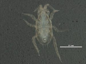  ( - BIOUG08282-C05)  @12 [ ] CreativeCommons - Attribution (2014) CBG Photography Group Centre for Biodiversity Genomics