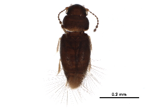  ( - BIOUG08387-F09)  @14 [ ] CreativeCommons - Attribution (2017) CBG Photography Group Centre for Biodiversity Genomics