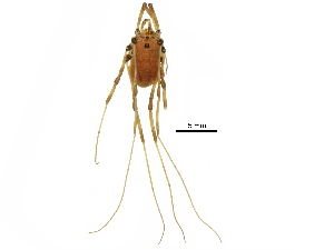  ( - BIOUG20666-D10)  @11 [ ] CreativeCommons - Attribution (2017) CBG Photography Group Centre for Biodiversity Genomics