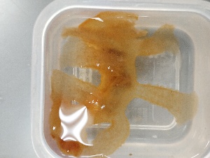  (Melibe viridis - SWTA176)  @11 [ ] by-sa  Unspecified Unspecified