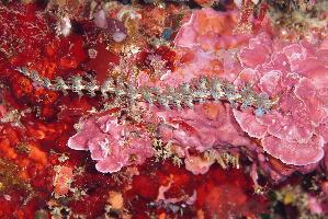  ( - SWTA043)  @11 [ ] by-sa  Unspecified Unspecified