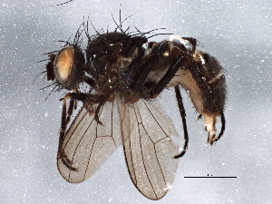  ( - BIOUG06345-C06)  @15 [ ] CreativeCommons - Attribution (2014) CBG Photography Group Centre for Biodiversity Genomics