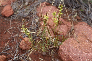  ( - CCDB-44151-D12)  @11 [ ] by-nc (2023) Justin Holder Flinders University