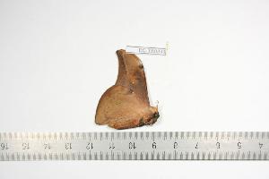  ( - BC-TB0893)  @13 [ ] Copyright (2010) Thierry Bouyer Research Collection of Thierry Bouyer