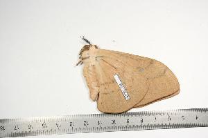  ( - BC-TB0981)  @13 [ ] Copyright (2010) Thierry Bouyer Research Collection of Thierry Bouyer