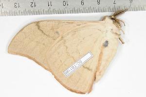  ( - BC-TB1186)  @13 [ ] Copyright (2010) Thierry Bouyer Research Collection of Thierry Bouyer